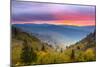 Autumn Morning in the Smoky Mountains National Park.-SeanPavonePhoto-Mounted Photographic Print