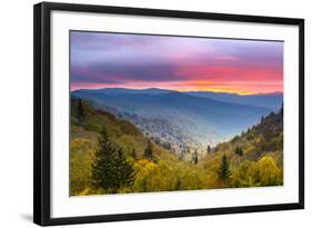 Autumn Morning in the Smoky Mountains National Park.-SeanPavonePhoto-Framed Photographic Print