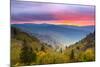 Autumn Morning in the Smoky Mountains National Park.-SeanPavonePhoto-Mounted Photographic Print