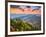 Autumn Morning in the Smoky Mountains National Park-Sean Pavone-Framed Photographic Print