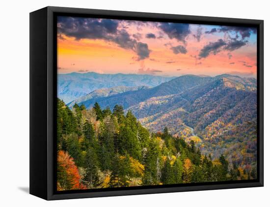 Autumn Morning in the Smoky Mountains National Park-Sean Pavone-Framed Stretched Canvas