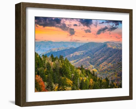 Autumn Morning in the Smoky Mountains National Park-Sean Pavone-Framed Premium Photographic Print