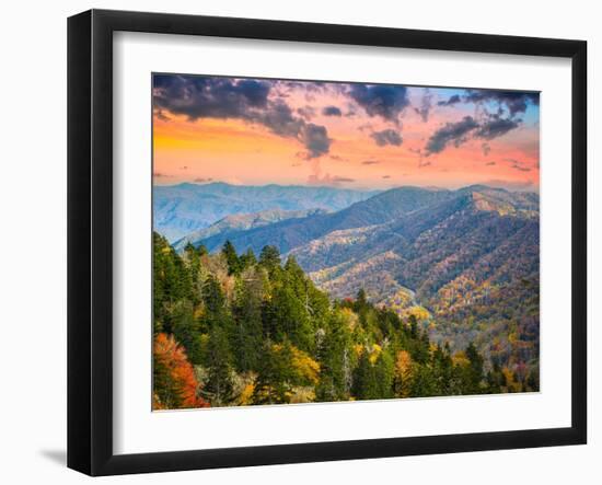 Autumn Morning in the Smoky Mountains National Park-Sean Pavone-Framed Premium Photographic Print
