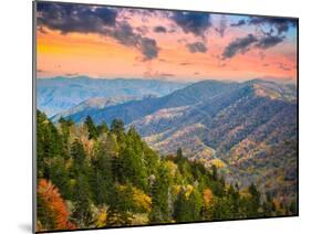 Autumn Morning in the Smoky Mountains National Park-Sean Pavone-Mounted Premium Photographic Print