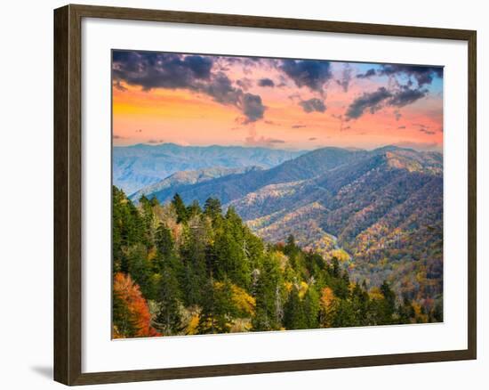 Autumn Morning in the Smoky Mountains National Park-Sean Pavone-Framed Photographic Print