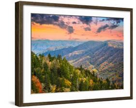 Autumn Morning in the Smoky Mountains National Park-Sean Pavone-Framed Photographic Print