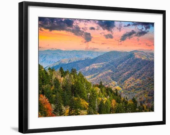 Autumn Morning in the Smoky Mountains National Park-Sean Pavone-Framed Photographic Print