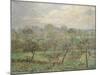 Autumn, Morning Mist, Éragny-Sur-Epte, 1902-Camille Pissarro-Mounted Giclee Print