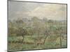 Autumn, Morning Mist, Éragny-Sur-Epte, 1902-Camille Pissarro-Mounted Giclee Print