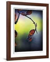 Autumn Morning-Michelle Wermuth-Framed Giclee Print