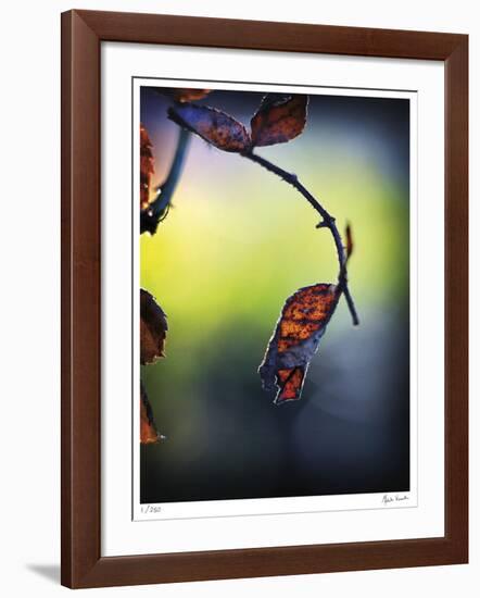 Autumn Morning-Michelle Wermuth-Framed Giclee Print