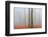 Autumn Morning-null-Framed Premium Giclee Print