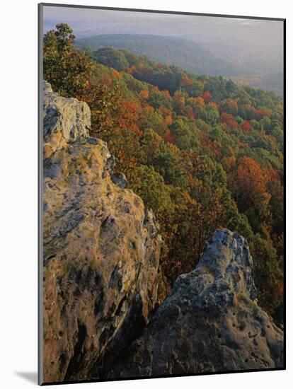 Autumn, Mt. Nebo State Park, Arkansas, USA-Charles Gurche-Mounted Photographic Print
