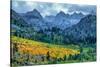 Autumn Near Aspendell, Eastern Sierras, California-Vincent James-Stretched Canvas