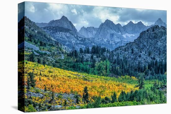 Autumn Near Aspendell, Eastern Sierras, California-Vincent James-Stretched Canvas