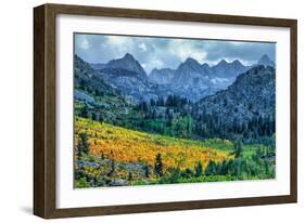 Autumn Near Aspendell, Eastern Sierras, California-Vincent James-Framed Photographic Print