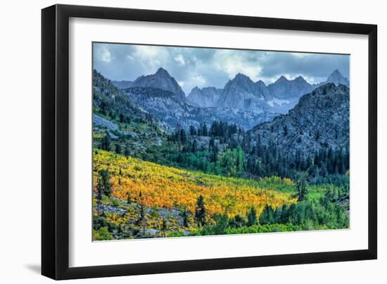 Autumn Near Aspendell, Eastern Sierras, California-Vincent James-Framed Photographic Print