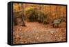 Autumn Near Trailhead at Sabbaday Falls-Vincent James-Framed Stretched Canvas
