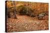 Autumn Near Trailhead at Sabbaday Falls-Vincent James-Stretched Canvas