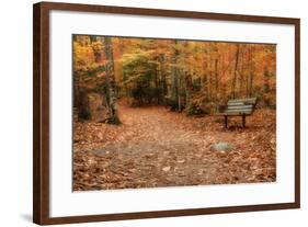 Autumn Near Trailhead at Sabbaday Falls-Vincent James-Framed Photographic Print