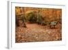 Autumn Near Trailhead at Sabbaday Falls-Vincent James-Framed Photographic Print