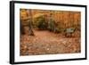 Autumn Near Trailhead at Sabbaday Falls-Vincent James-Framed Photographic Print