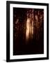 Autumn Night-Julie Fain-Framed Art Print