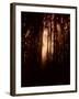 Autumn Night-Julie Fain-Framed Art Print