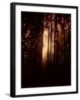 Autumn Night-Julie Fain-Framed Art Print