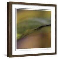 Autumn No 3-Eva Mueller-Framed Giclee Print