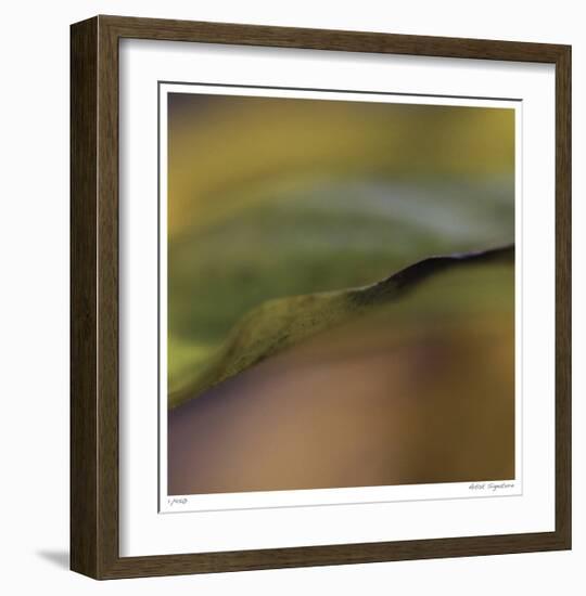 Autumn No 3-Eva Mueller-Framed Giclee Print