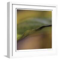 Autumn No 3-Eva Mueller-Framed Giclee Print