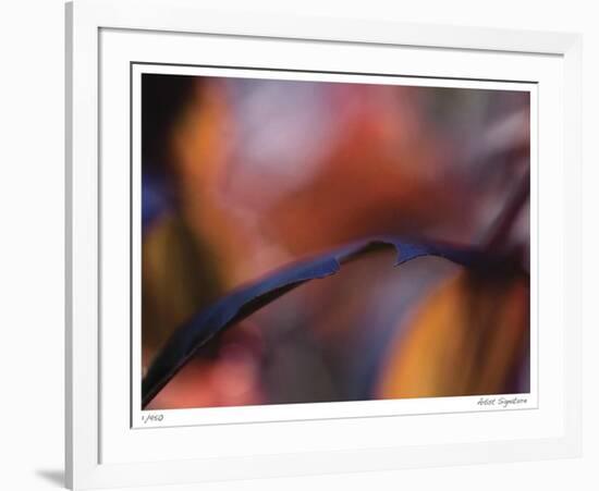 Autumn No 8-Eva Mueller-Framed Giclee Print