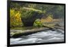 Autumn, North Falls Silver Creek, Silver Falls State Park, Oregon, Usa-Michel Hersen-Framed Photographic Print