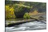 Autumn, North Falls Silver Creek, Silver Falls State Park, Oregon, Usa-Michel Hersen-Stretched Canvas