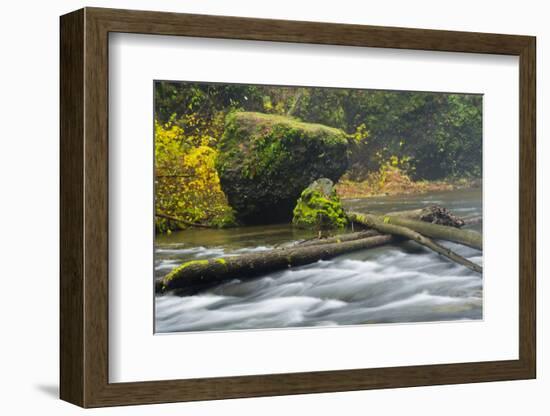 Autumn, North Falls Silver Creek, Silver Falls State Park, Oregon, Usa-Michel Hersen-Framed Photographic Print