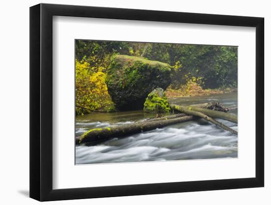 Autumn, North Falls Silver Creek, Silver Falls State Park, Oregon, Usa-Michel Hersen-Framed Photographic Print