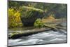 Autumn, North Falls Silver Creek, Silver Falls State Park, Oregon, Usa-Michel Hersen-Mounted Photographic Print