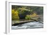 Autumn, North Falls Silver Creek, Silver Falls State Park, Oregon, Usa-Michel Hersen-Framed Photographic Print