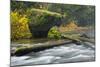 Autumn, North Falls Silver Creek, Silver Falls State Park, Oregon, Usa-Michel Hersen-Mounted Photographic Print