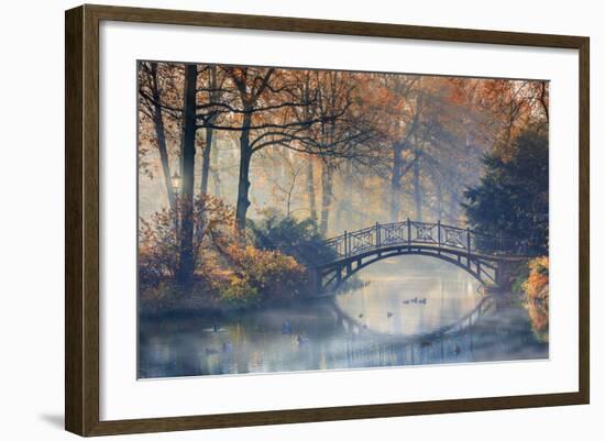 Autumn - Old Bridge in Autumn Misty Park-Gorilla-Framed Photographic Print