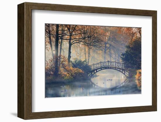 Autumn - Old Bridge in Autumn Misty Park-Gorilla-Framed Photographic Print