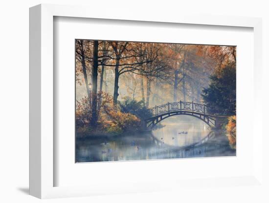 Autumn - Old Bridge in Autumn Misty Park-Gorilla-Framed Photographic Print