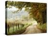 Autumn on a Country Road-Danny Head-Stretched Canvas