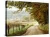 Autumn on a Country Road-Danny Head-Stretched Canvas