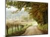 Autumn on a Country Road-Danny Head-Mounted Photographic Print