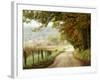 Autumn on a Country Road-Danny Head-Framed Photographic Print