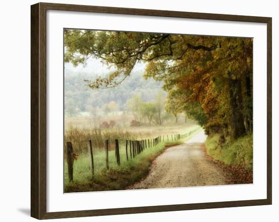 Autumn on a Country Road-Danny Head-Framed Photographic Print