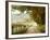 Autumn on a Country Road-Danny Head-Framed Photographic Print