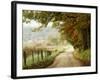 Autumn on a Country Road-Danny Head-Framed Photographic Print